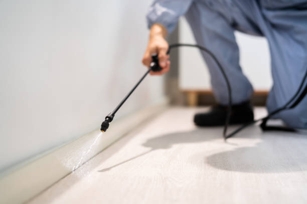 Licensed Fumigation Services service in Livingston Parish County, LA - Nex Pest Control
